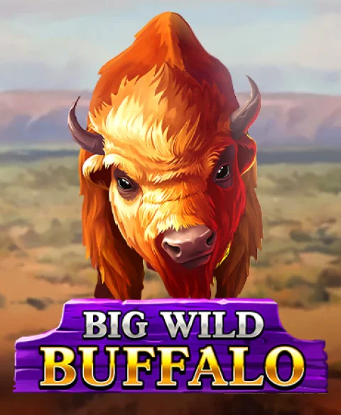 Play Big Wild Buffalo at Slot Master Hub Casino